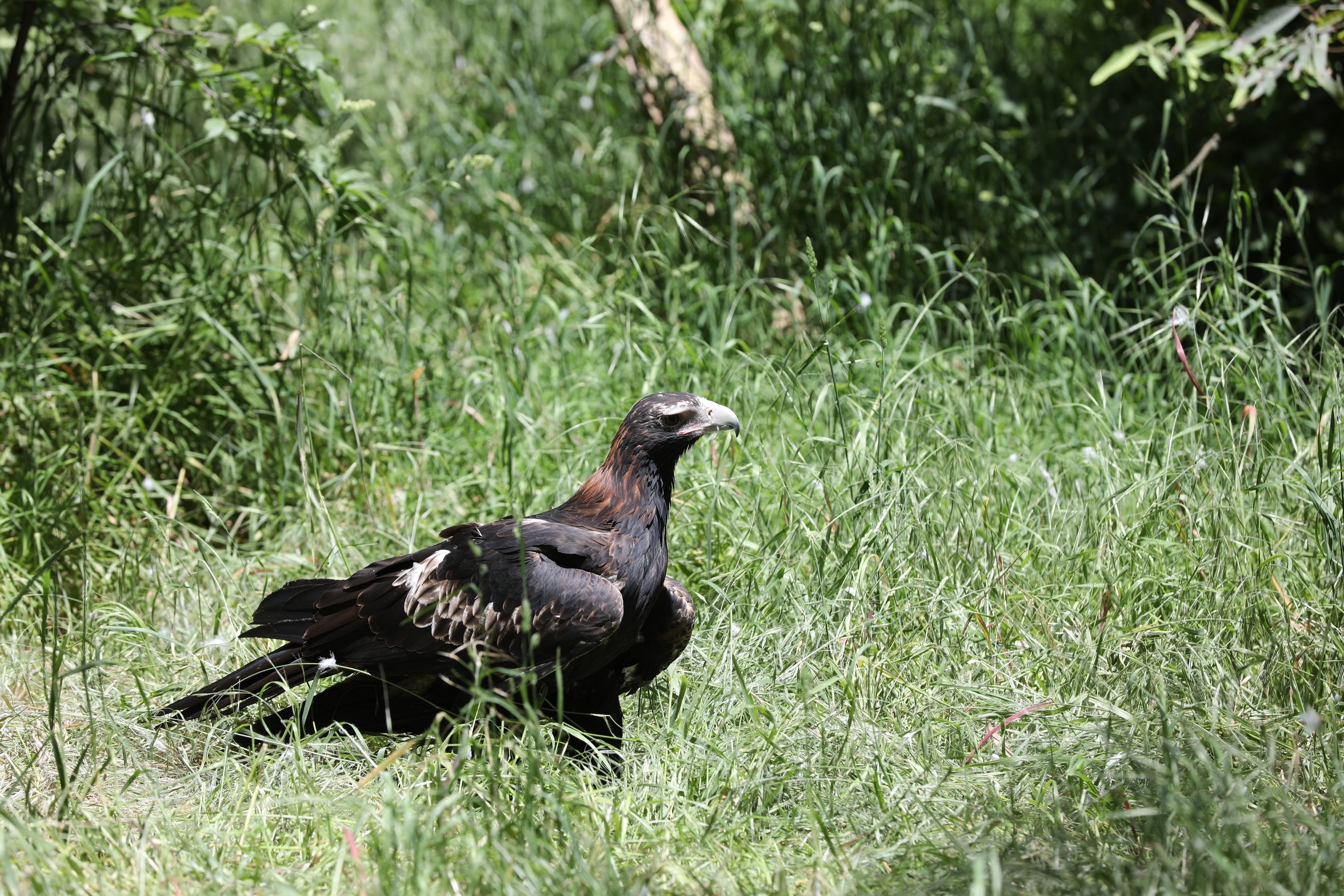 2019 11 22 13 46 09 Canon EOS 5D Mark IV 0008